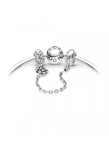 Conta corrente Heart Family Tree Pandora