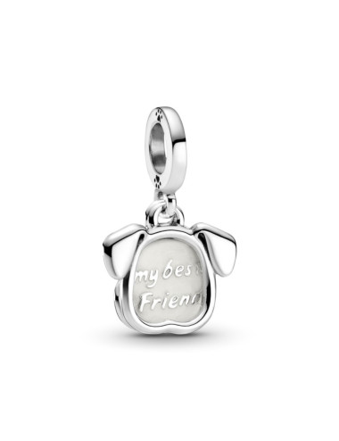 CONTA PENDENTE O MEU CAO PANDORA