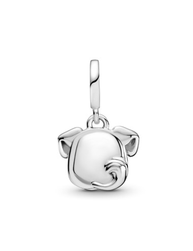 CONTA PENDENTE O MEU CAO PANDORA