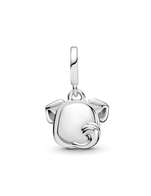 CONTA PENDENTE O MEU CAO PANDORA