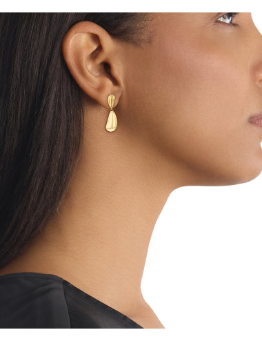 Brincos Radiant Calvin Klein