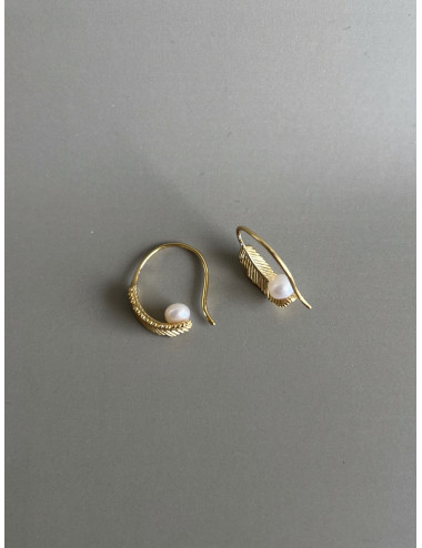 Brincos Nice Prata Dourada