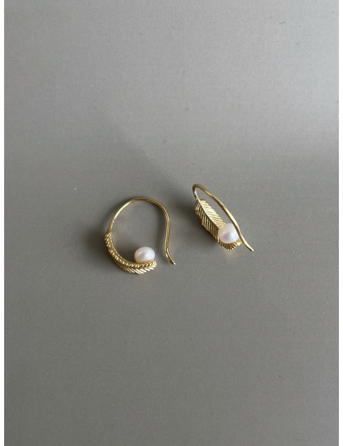 Brincos Nice Prata Dourada