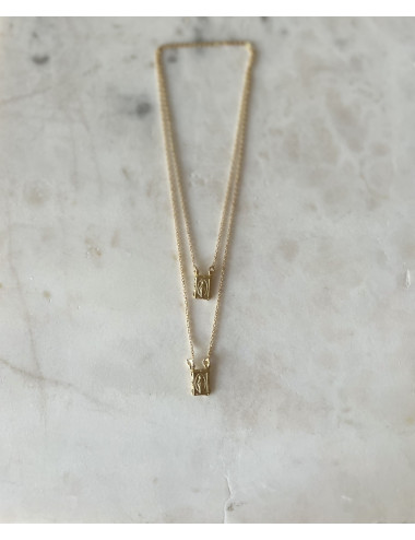 Escapulário Prata Dourada