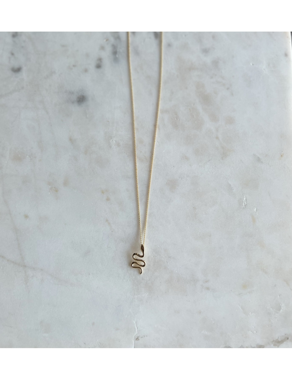 Colar Cobra Prata Dourada