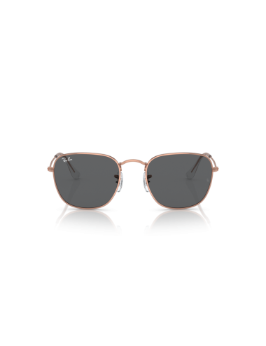 Óculos Ray Ban Frank