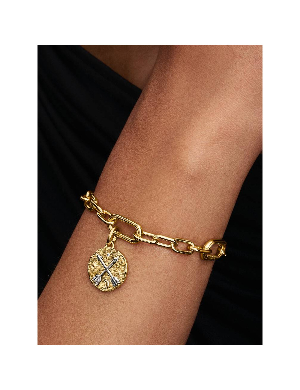 Conta Medalhão Setas Cruzadas Pandora Talisman