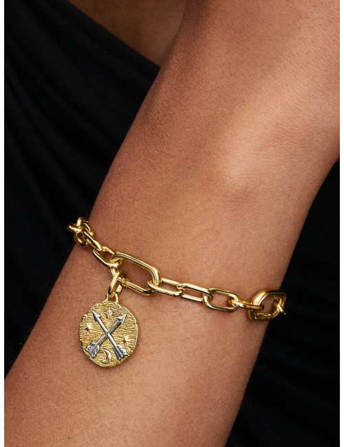 Conta Medalhão Setas Cruzadas Pandora Talisman