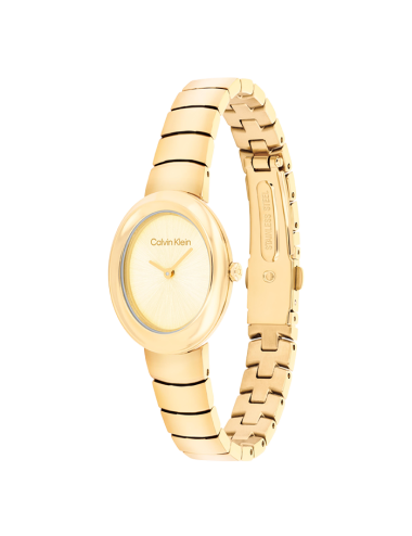 Relógio Twisted Calvin Klein