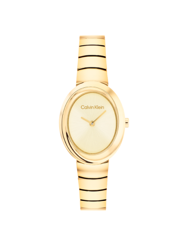 Relógio Twisted Calvin Klein