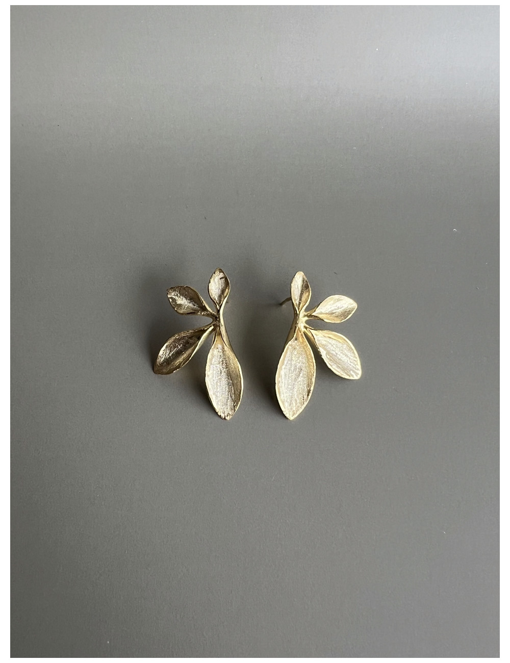 Brincos Trevisa Prata Dourada