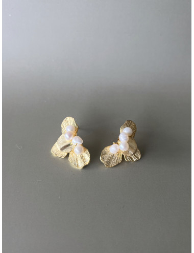 Brincos Trevisian Prata Dourada