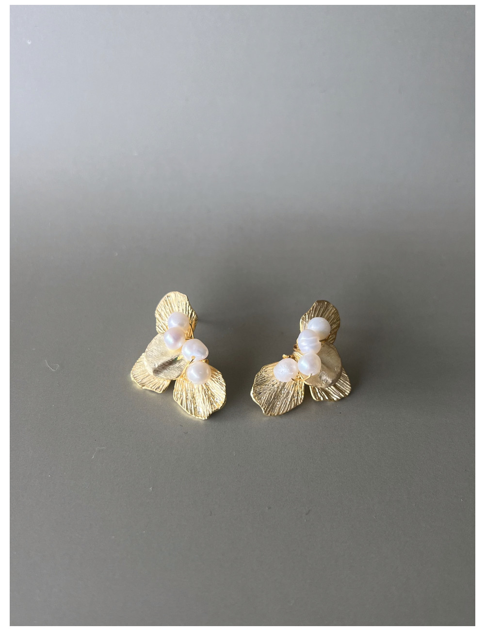 Brincos Trevisian Prata Dourada