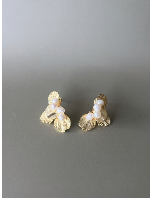 Brincos Trevisian Prata Dourada