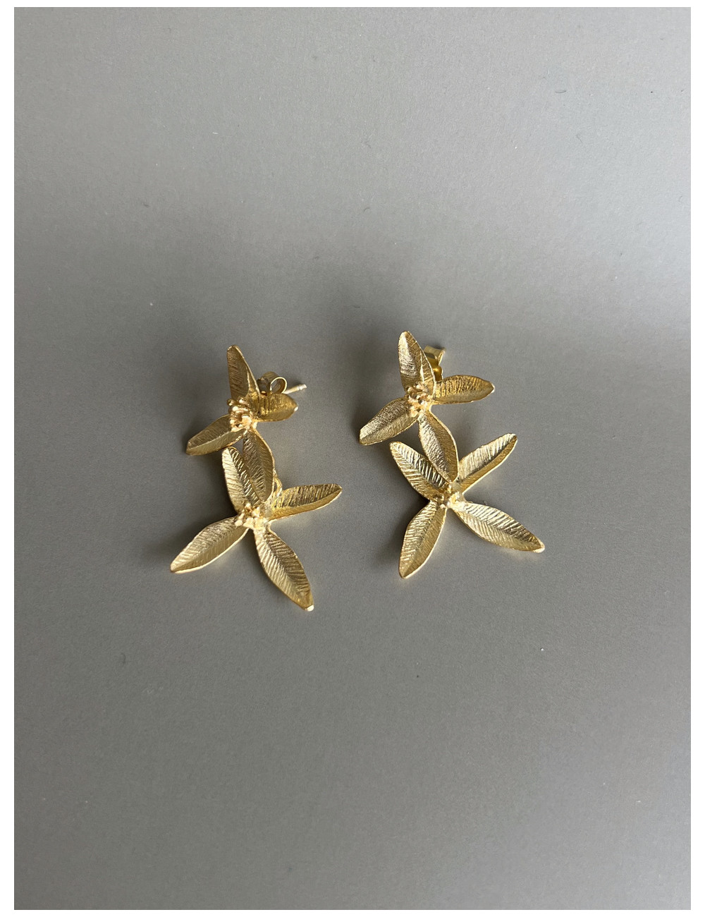 Brincos Bergamo Prata Dourada