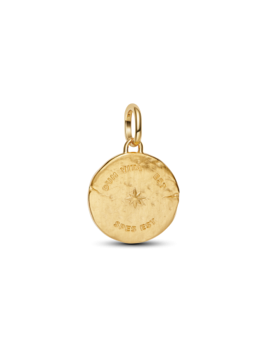 Mini Conta Medalhão Golondrina Pandora Talisman