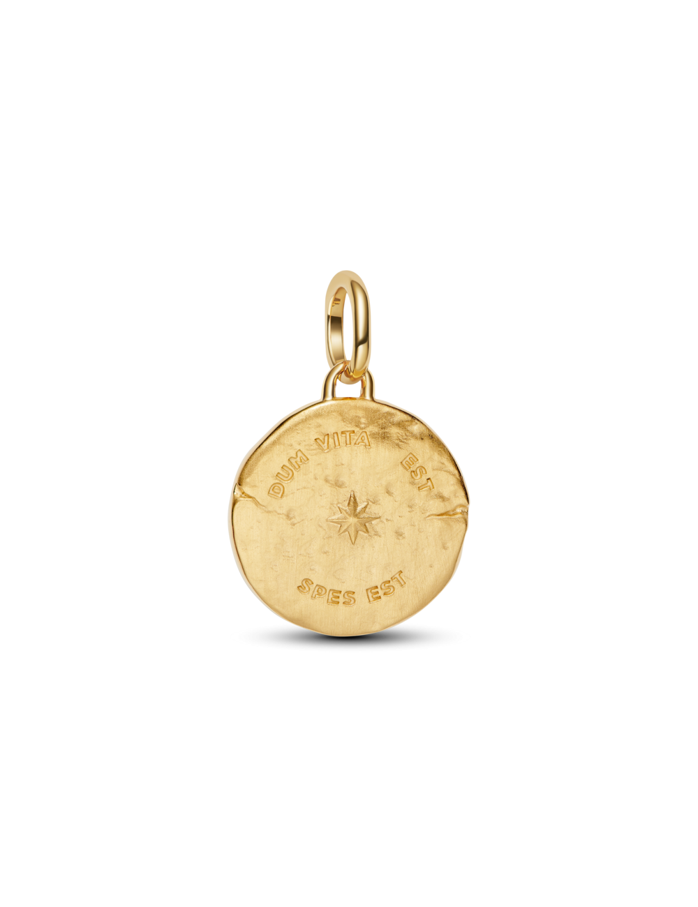 Mini Conta Medalhão Golondrina Pandora Talisman