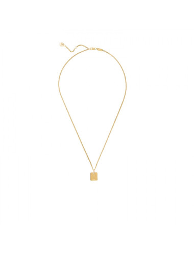 COLAR ONE NECKMESS FUN