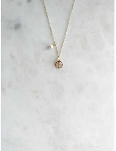 Colar Árvore Vida e Cristal Prata Dourada