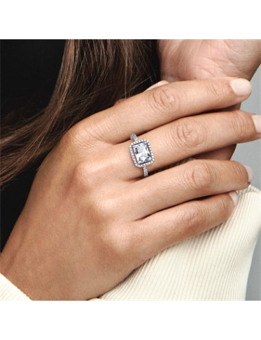 ANEL SPARKLING HALO PANDORA