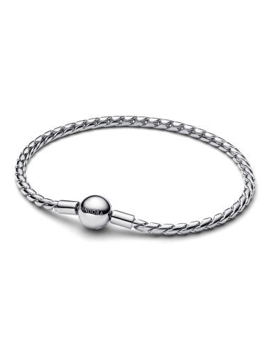 Pulseira Pandora Moments