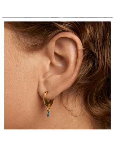 Brincos Blue Lily PdPaola