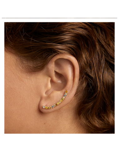 Brincos Rainbow PdPaola