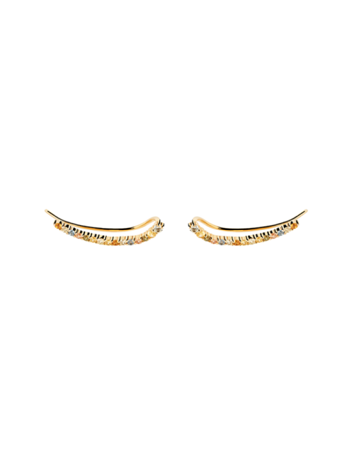 Brincos Rainbow PdPaola