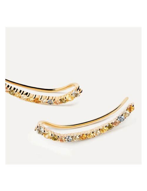 Brincos Rainbow PdPaola