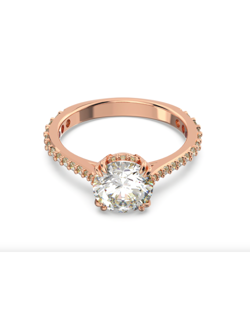 ANEL CONSTELLA SWAROVSKI