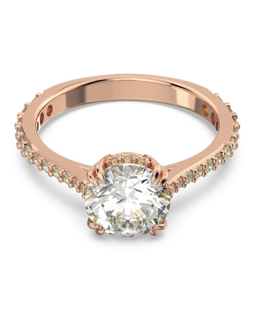 ANEL CONSTELLA SWAROVSKI