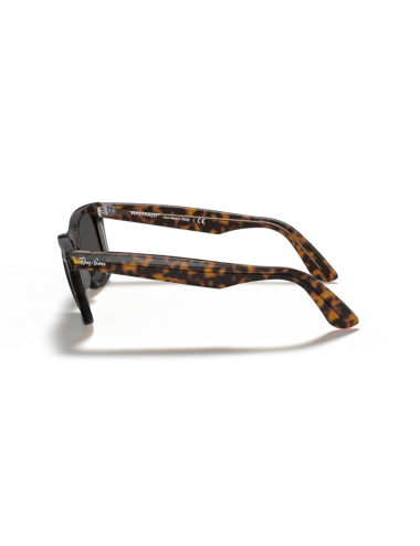 Óculos Ray Ban Wayfarer