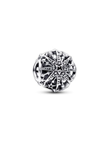 CONTA SNOWFLAKE PANDORA