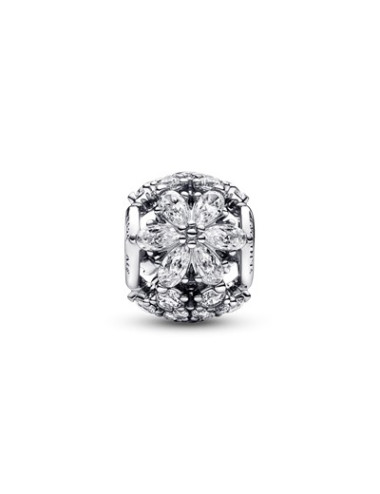 CONTA HERBARIUM PANDORA