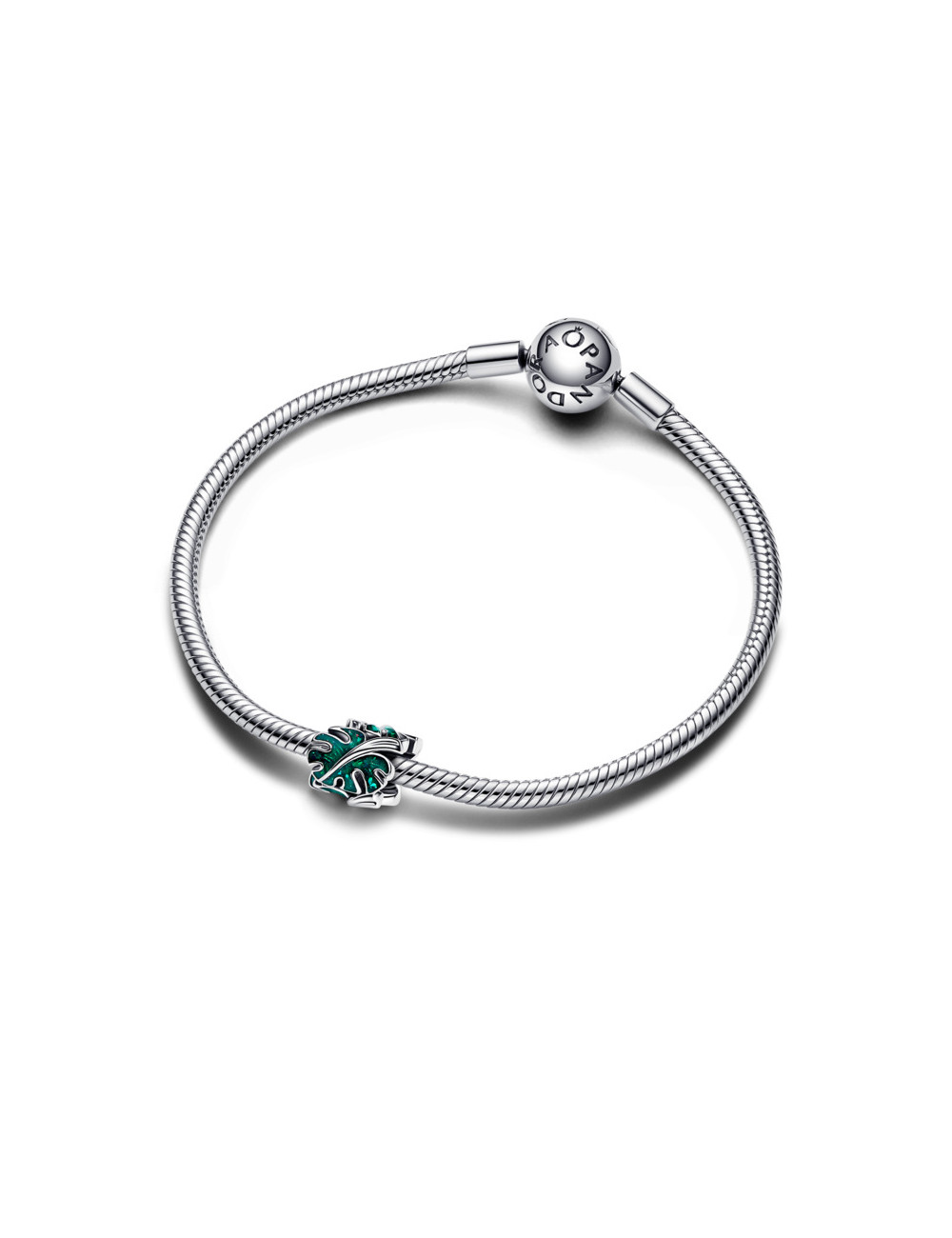 Conta Folhas de Monstera Pandora