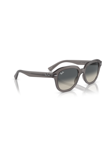 Óculos Ray Ban Erik