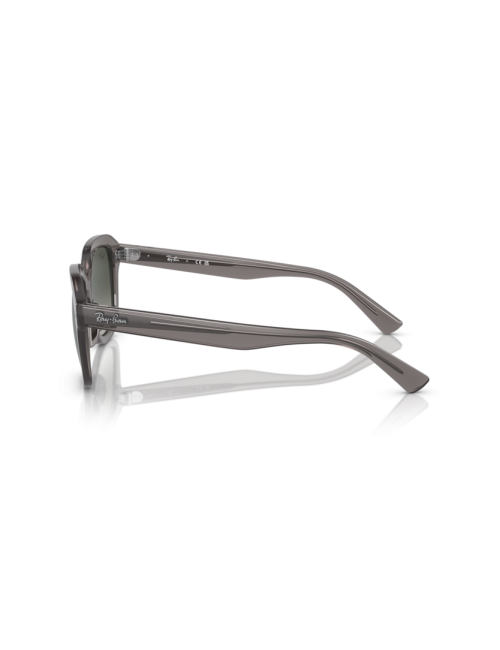 Óculos Ray Ban Erik