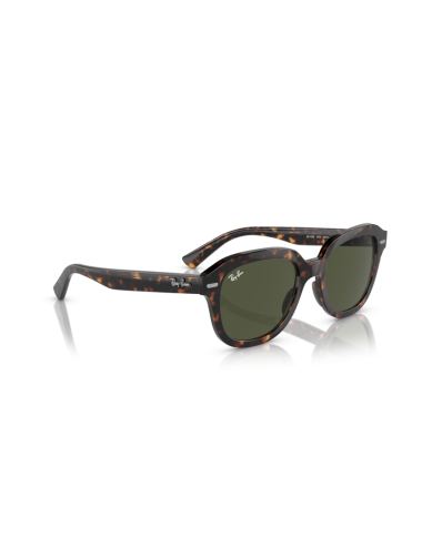 Óculos Ray Ban Erik