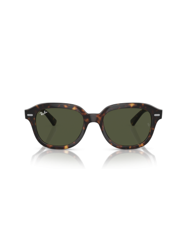 Óculos Ray Ban Erik