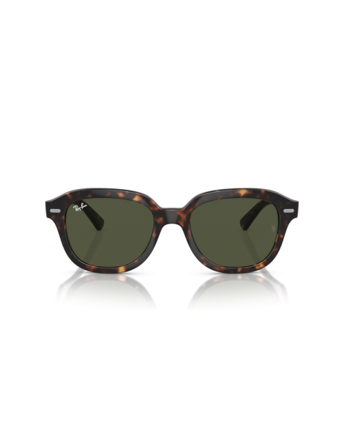 Óculos Ray Ban Erik