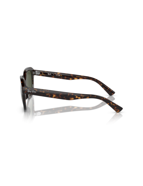 Óculos Ray Ban Erik