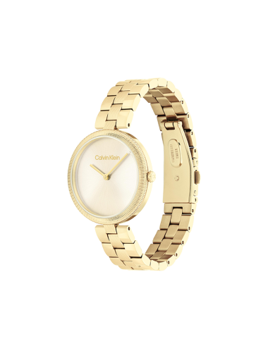 Relógio Gleam Calvin Klein
