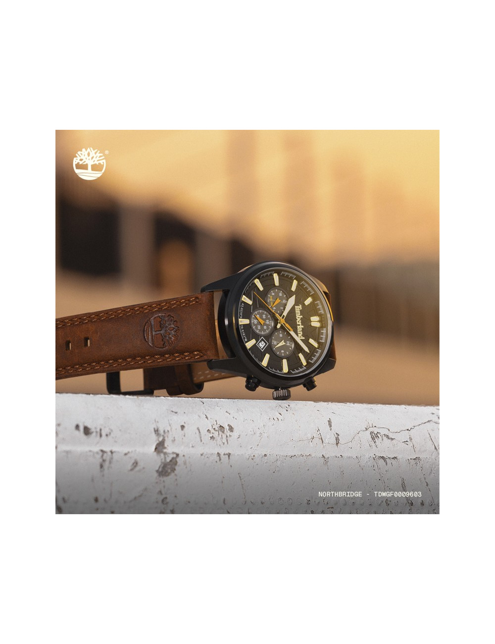 Relógio Northbridge Timberland