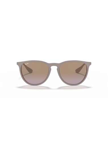 Óculos Ray Ban Erika