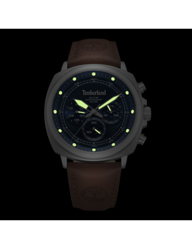 Relógio Williston Timberland