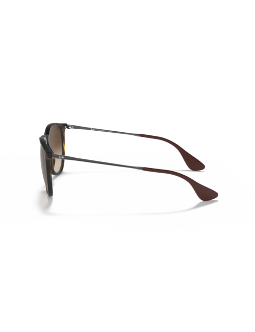 Óculos Ray Ban Erika