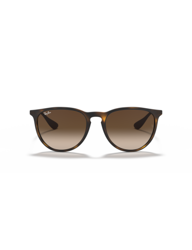Óculos Ray Ban Erika