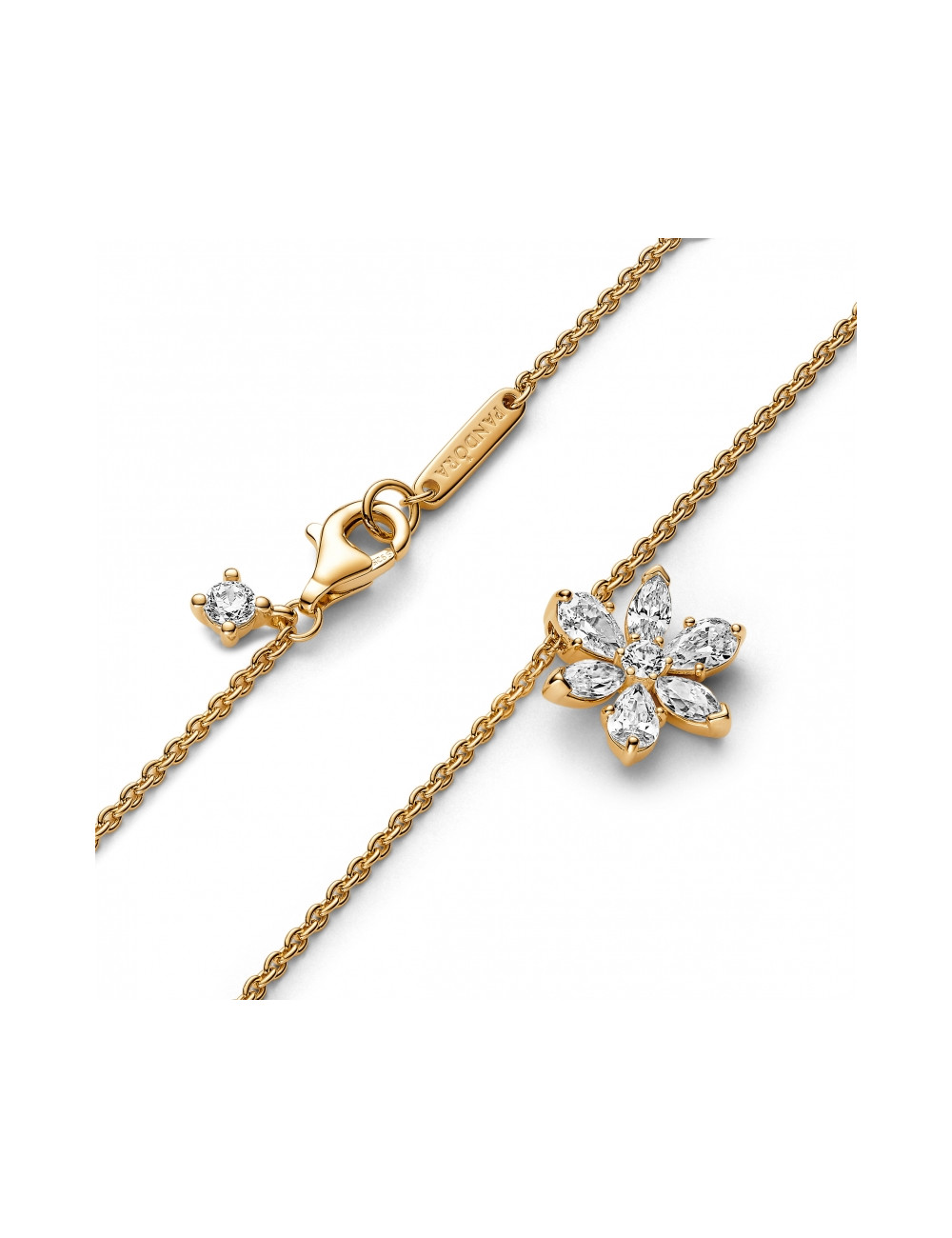 Colar Pendente Herbário Pandora