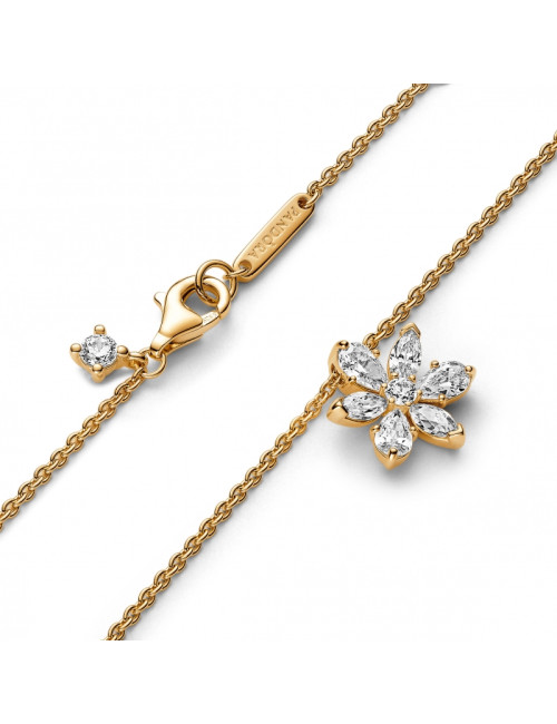 Colar Pendente Herbário Pandora