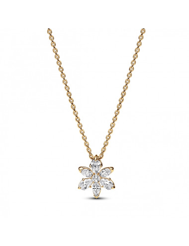 Colar Pendente Herbário Pandora